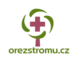 Odborná péče o stromy | OŘEZ, KÁCENÍ, VAZBY | orezstromu.cz