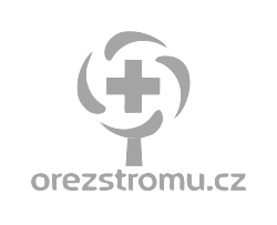 Odborná péče o stromy | OŘEZ, KÁCENÍ, VAZBY | orezstromu.cz