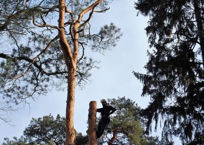 orezstromu.cz - Kácení stromu ZOO Lešná - 12